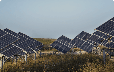 Solar Farm Development